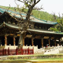 清和元(五龙口街店) 여행 사진