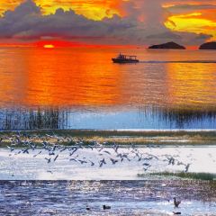 Kamba Nomadic Cafe User Photo