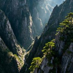 靈山酒釀張用戶圖片