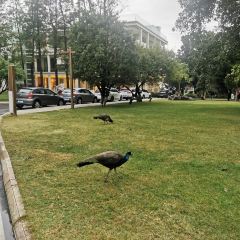 Sea View Restaurant User Photo