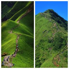 老萍巷·萍乡小炒肉(御景园店) User Photo