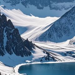 Shunji Traditional Cold Noodles User Photo