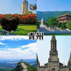 WEIDAOJIA MAMACAI User Photo