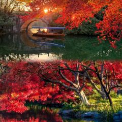 外婆的味道私房餐厅 User Photo