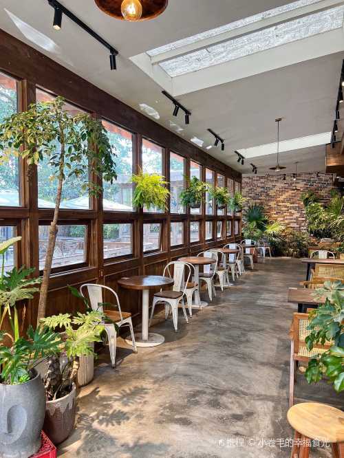 两棵树咖啡Double Tree Cafe