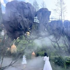 瀑布咖啡(安吉·星空营地店) User Photo