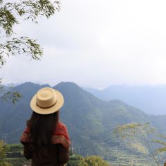 飞茑集樢咖啡 User Photo