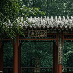 Dan's Crispy Duck User Photo