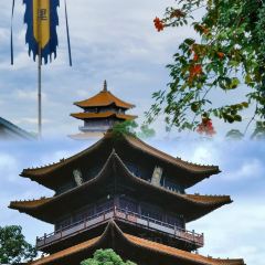 陶姐冷粉張用戶圖片