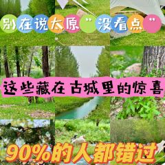 杨记灌肠(食品街店) User Photo