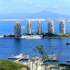 虎婆香草鴨·海南大排檔（賽拉維風情街店）張用戶圖片