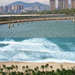 dan jia yu pai User Photo