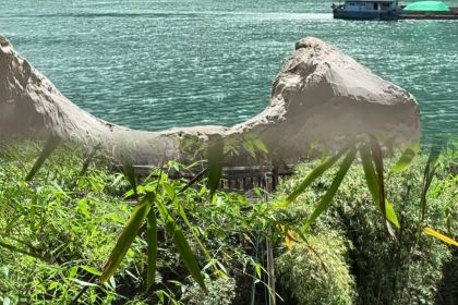 陳媽餐館·宜昌肥魚地方本土菜館