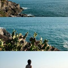 dan jia yu pai User Photo