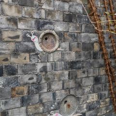 忆岛饭店 User Photo