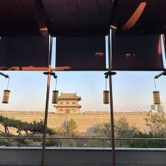 XINJIN TAO 여행 사진