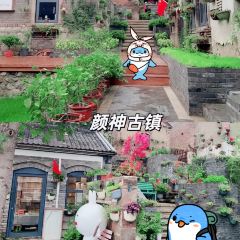 WEIDAOJIA MAMACAI User Photo