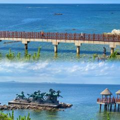 海岛日记(养马岛店) User Photo