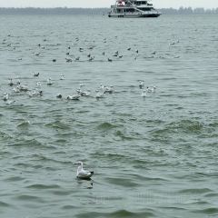 AI SHANG JUN User Photo