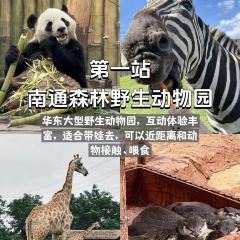 ZHUA FAN YU JIAN NANG KEN ROU User Photo