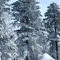 Shunji Traditional Cold Noodles 여행 사진