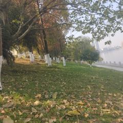 宜春市汤老三夜宵店(秀江风情店) User Photo