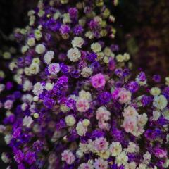 MAJESTY RESTAURANT User Photo