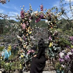 幽兰落 User Photo