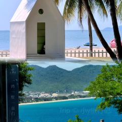 嗲嗲的椰子鸡·海南火锅(亚龙湾博后村店) User Photo