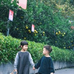 遂宁首座万豪酒店·大堂吧 User Photo