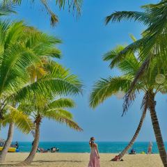 dan jia yu pai User Photo