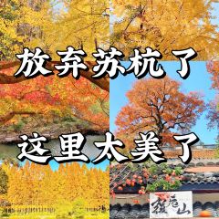 绘璟轩·不醒人室 User Photo