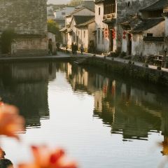 灵山酒酿 User Photo