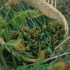 孟获城向野而眠帐篷营地·户外餐厅 User Photo