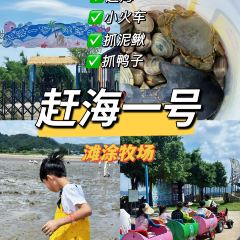 趣玩户外烧烤海边BBQ店(赶海一号店) User Photo
