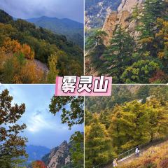 白家缸炉烧饼 User Photo