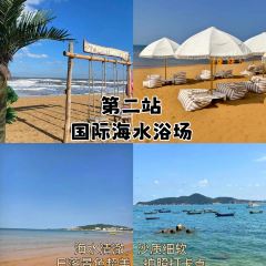 FRESH UNDER THE SEA User Photo