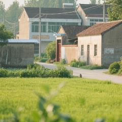 青梅竹马农家乐餐馆 여행 사진