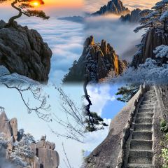 灵山酒酿 User Photo