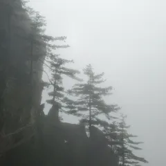 李记五香豆沫 User Photo