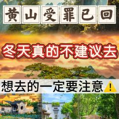 秀嫂挞粿 User Photo