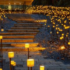 樊老头樊氏牛骨粉(婺源书乡路店) User Photo