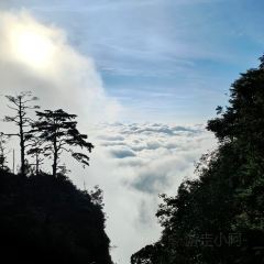 ZHUSANTIANPIYA User Photo