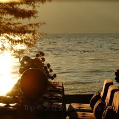 大理安汋海景酒店·餐厅 User Photo