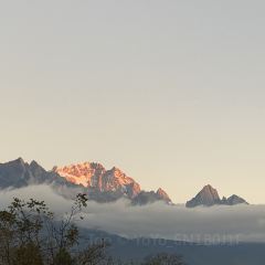 Kuiran Snow Mountain Treehouse Coffee User Photo