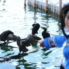 翠翠油茶坊(灵川店) User Photo