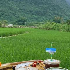 一尺稻田咖啡 User Photo