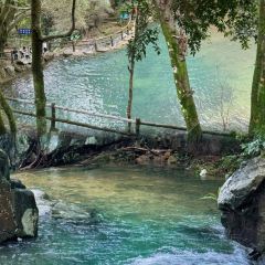 名悦楼海鲜大排档(延河路店) User Photo