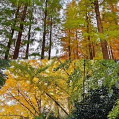 铁锅年代(天台店) 여행 사진