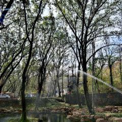 HUAI SHANG DOU FU RESTAURANT User Photo